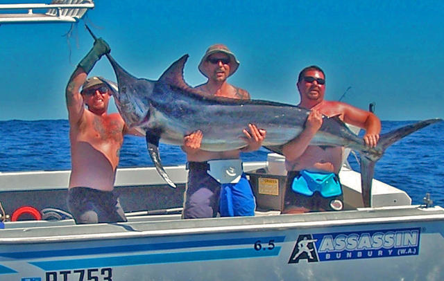 Bigger Marlin